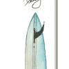 Surfboard Bethany